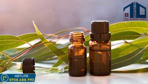 tinh dau khuynh diep