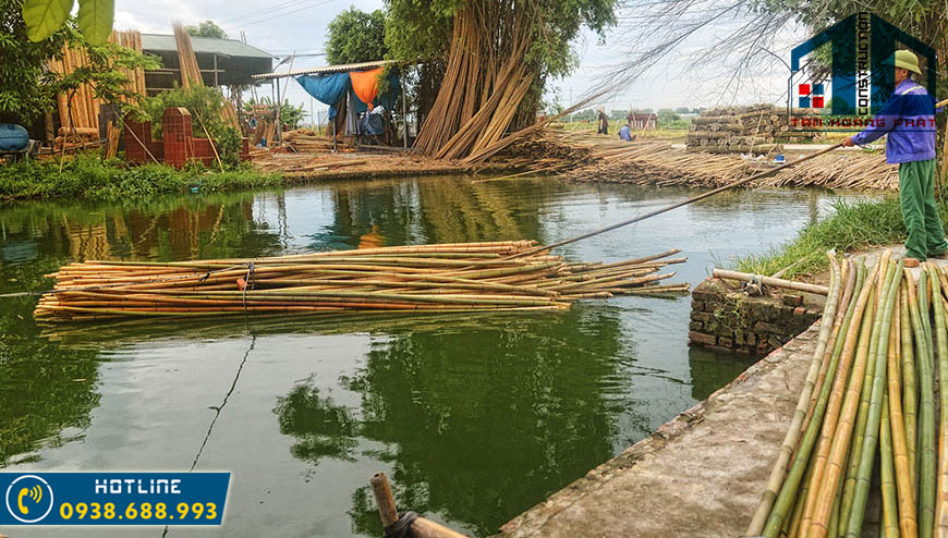 Những cách xử lý mối mọt cho tre trúc hiệu quả