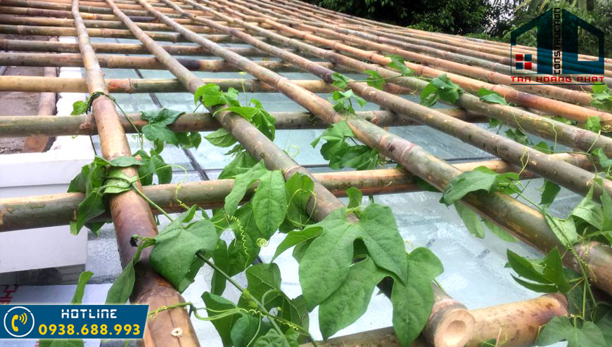 Cách làm giàn mướp bằng tre trên sân thượng